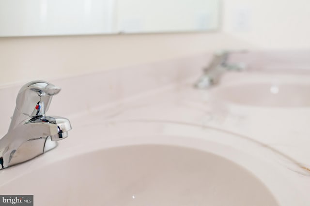 room details with sink and a washtub