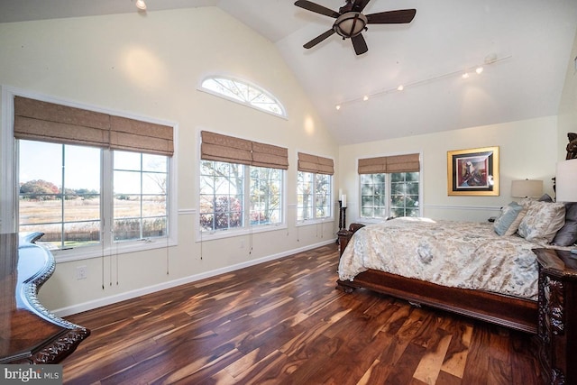 bedroom featuring dark hardwood / wood-style flooring, high vaulted ceiling, and ceiling fan