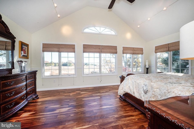 bedroom featuring dark hardwood / wood-style floors, high vaulted ceiling, and multiple windows