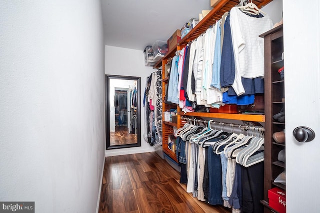 spacious closet featuring dark hardwood / wood-style floors