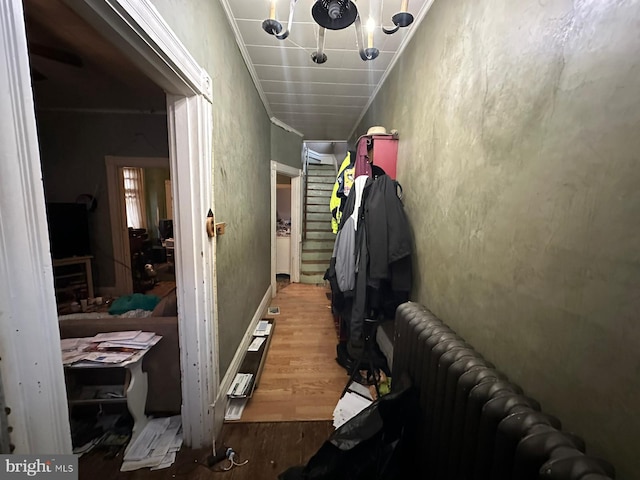 hallway with hardwood / wood-style flooring and radiator heating unit