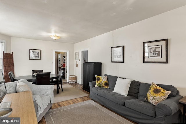 910 Woodland Ave, Burlington, NJ 08016 - living room featuring hardwood / wood-style floors