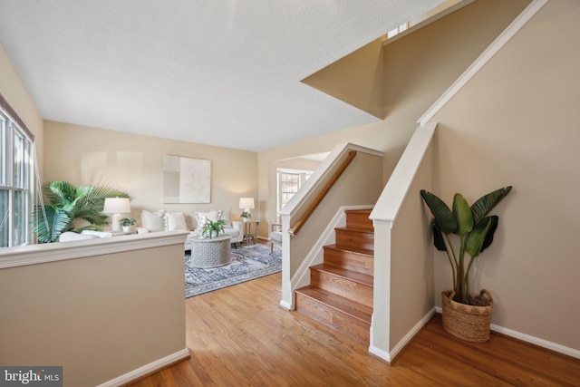 foyer with hardwood / wood-style floors