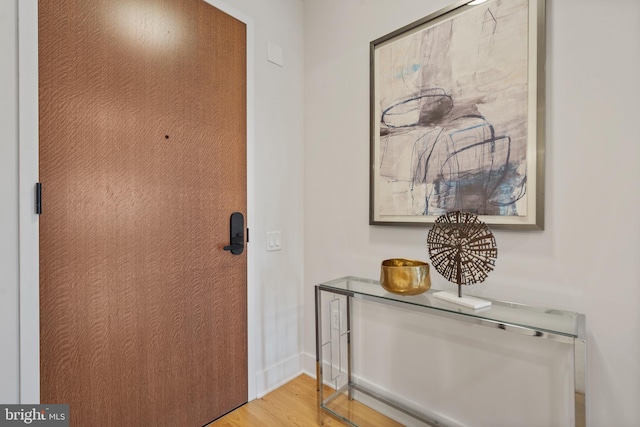 entryway featuring hardwood / wood-style flooring