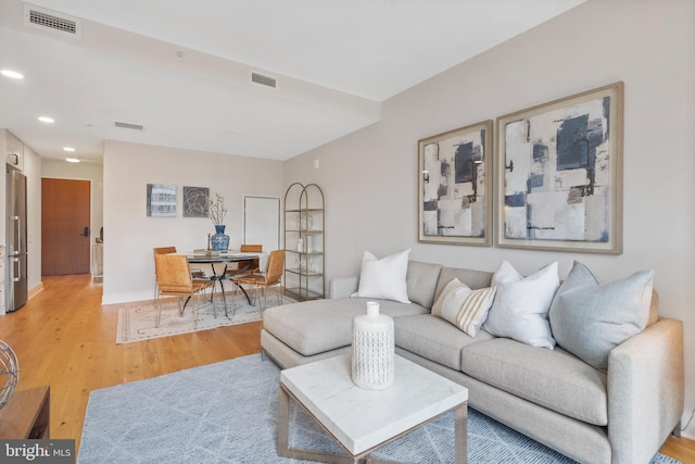 living room featuring wood-type flooring