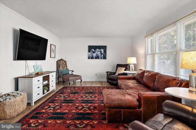 living room with crown molding and hardwood / wood-style flooring