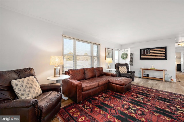 living room featuring hardwood / wood-style floors and ornamental molding