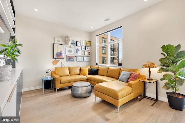 living room featuring light hardwood / wood-style floors