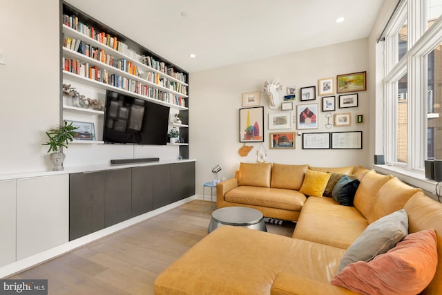 living room featuring plenty of natural light and light wood-type flooring