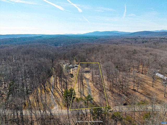 drone / aerial view featuring a mountain view