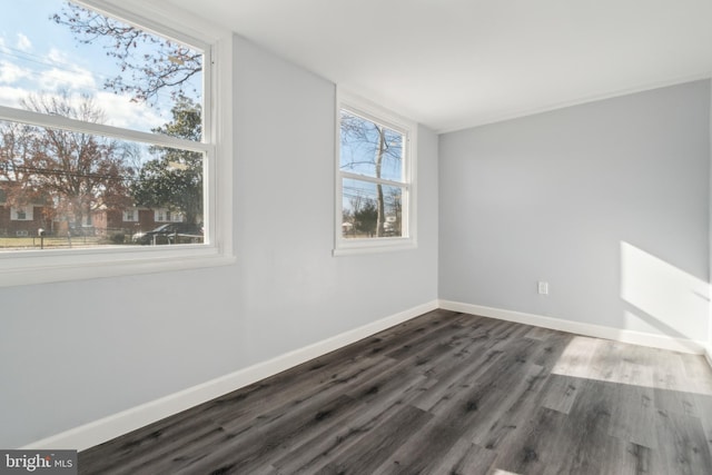 spare room featuring dark wood-type flooring