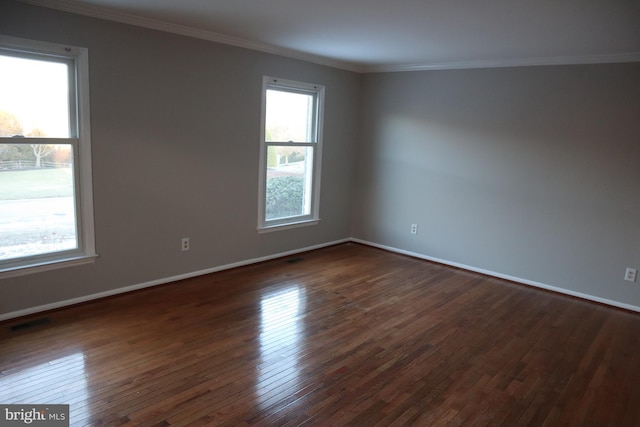 spare room featuring dark wood-type flooring and ornamental molding