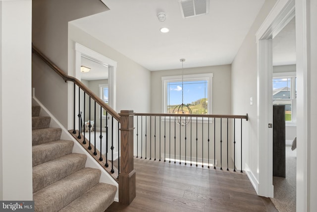 staircase featuring hardwood / wood-style floors and a healthy amount of sunlight