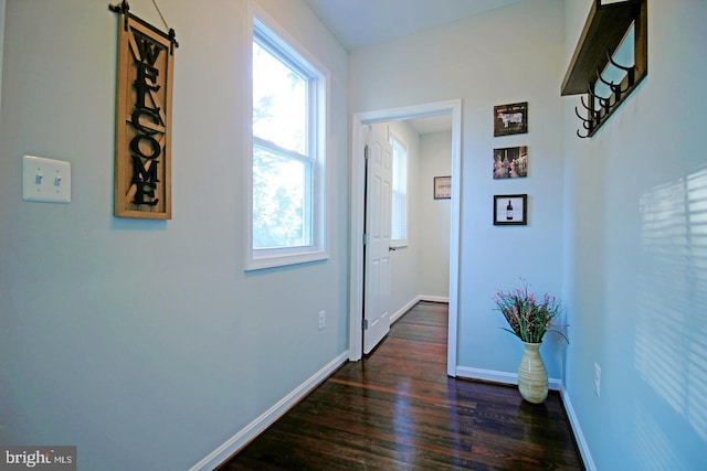 corridor featuring dark wood-type flooring