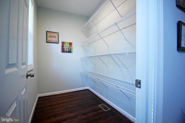 spacious closet featuring dark wood-type flooring