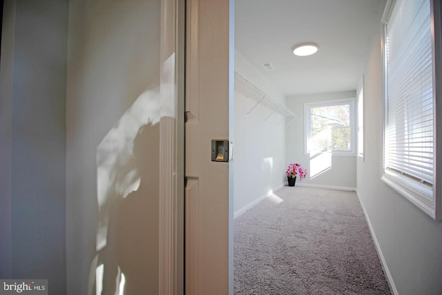 corridor featuring carpet flooring