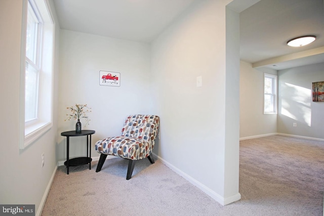 sitting room with light carpet