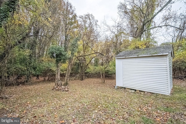 view of yard featuring a storage unit