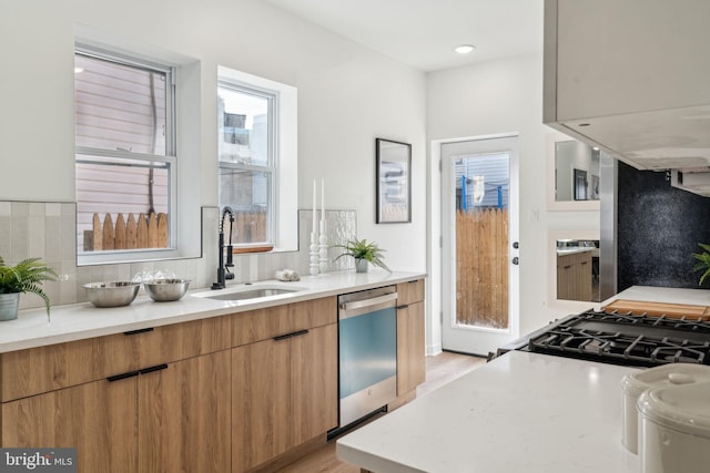 kitchen with gas stove, dishwasher, sink, and decorative backsplash