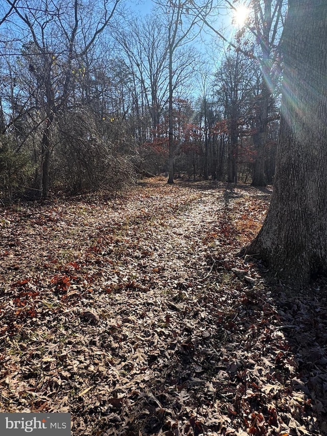 Listing photo 2 for 00 Cox Mill Rd, Gordonsville VA 22942