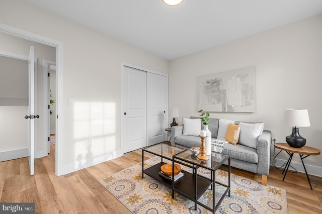 living room with light hardwood / wood-style flooring