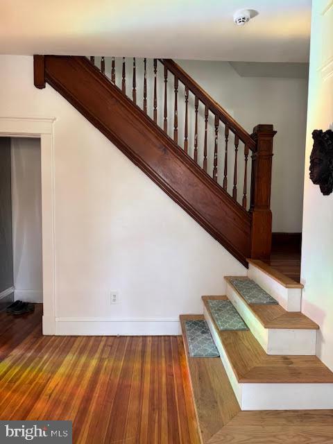 staircase with hardwood / wood-style floors