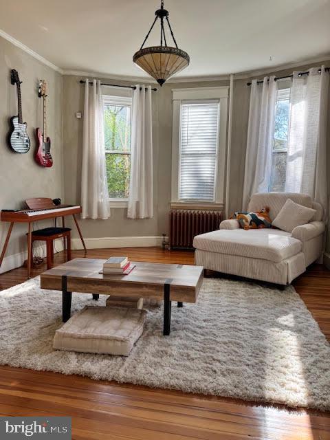 living area featuring hardwood / wood-style floors, radiator heating unit, and ornamental molding