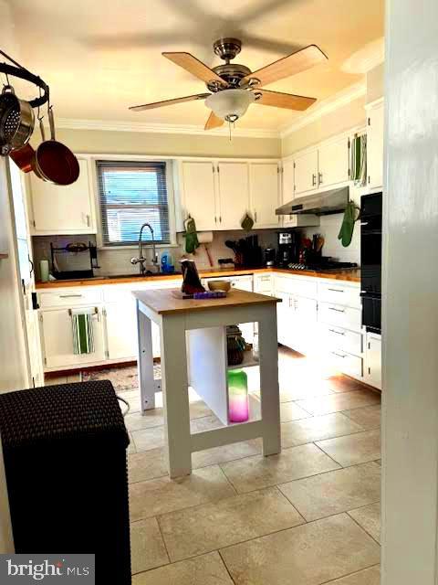 kitchen featuring white cabinetry, sink, crown molding, and backsplash