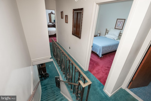 staircase with carpet floors