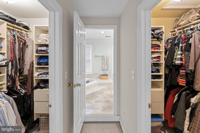 view of spacious closet