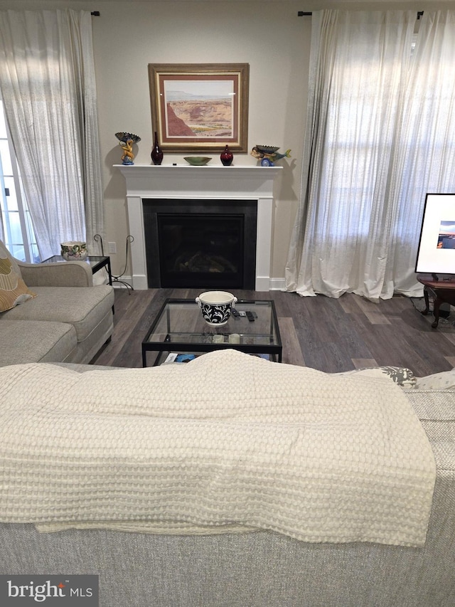 living room with a wealth of natural light and dark hardwood / wood-style flooring