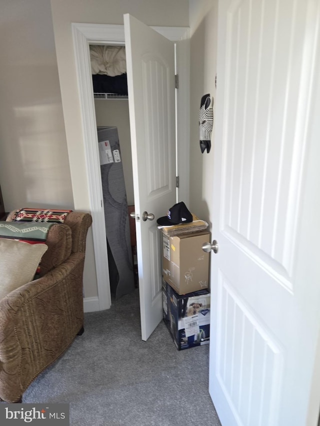 interior space featuring a closet and light carpet