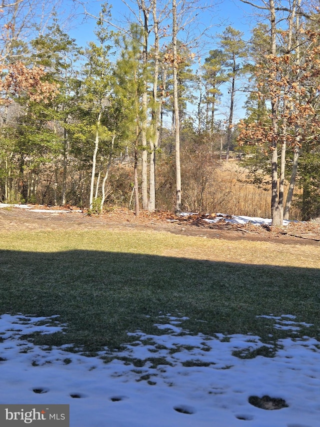 view of snowy yard