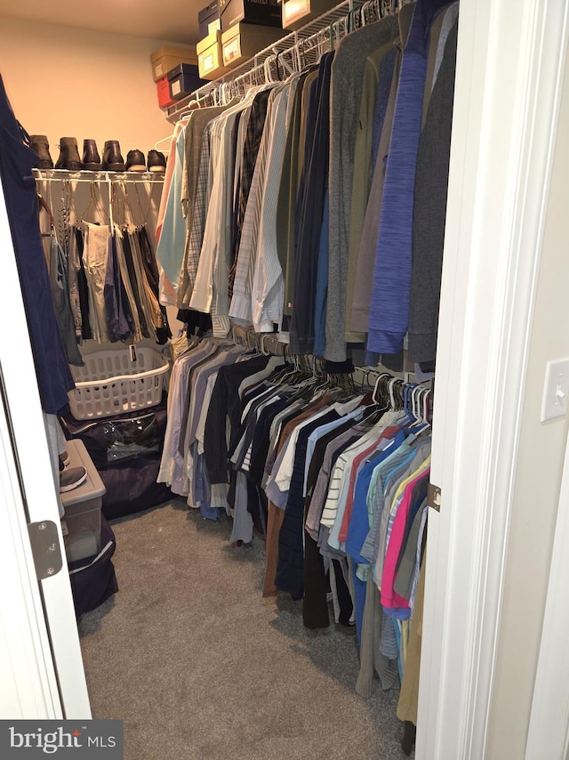 spacious closet with carpet flooring