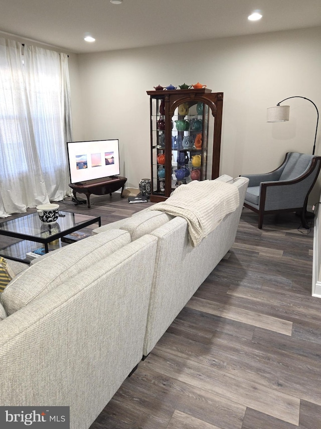 living room featuring dark hardwood / wood-style flooring