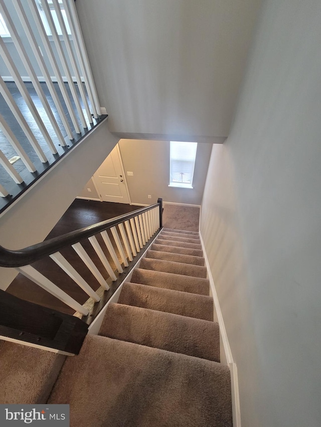 staircase featuring carpet