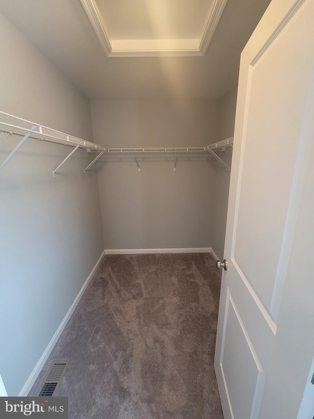 spacious closet featuring a tray ceiling and dark colored carpet