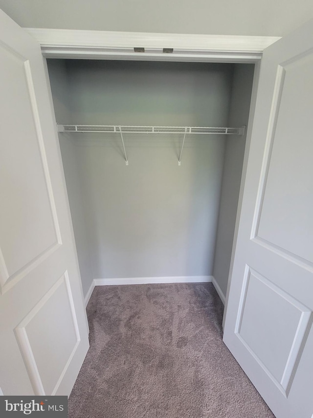 view of closet