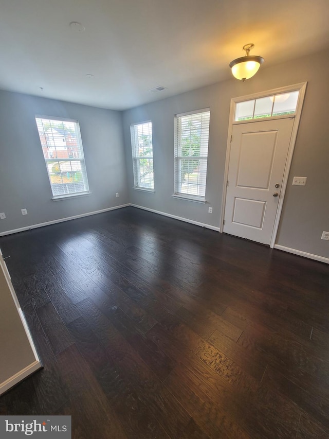 entrance foyer featuring dark hardwood / wood-style flooring