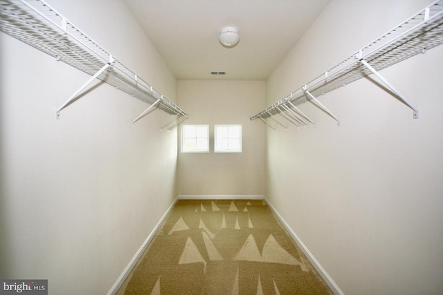 walk in closet with carpet floors