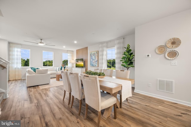 dining area with ceiling fan and light hardwood / wood-style floors