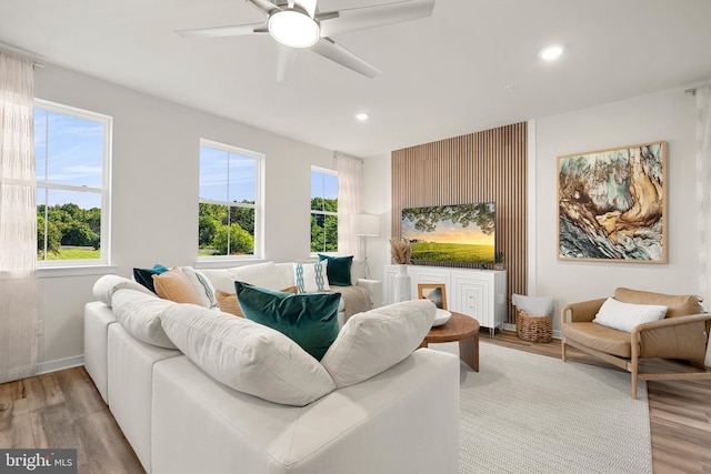 living room with ceiling fan and light hardwood / wood-style flooring