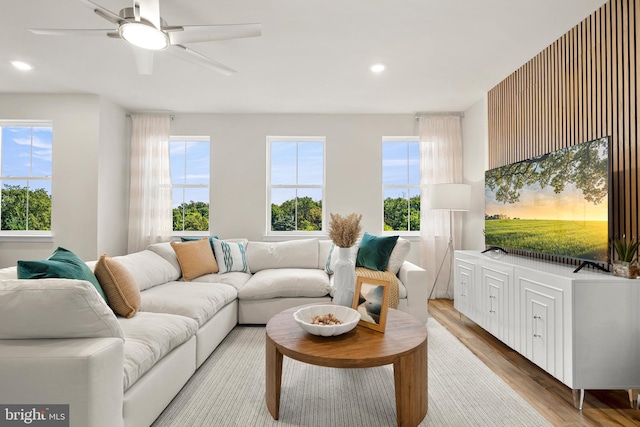 living room with ceiling fan, light hardwood / wood-style floors, and a wealth of natural light