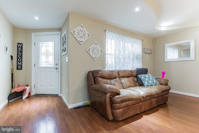 living room featuring hardwood / wood-style flooring