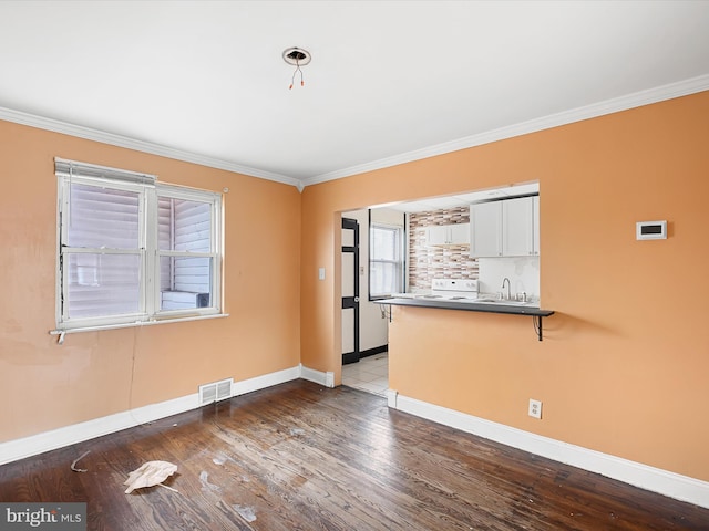 interior space with crown molding, sink, wood-type flooring, and a wealth of natural light