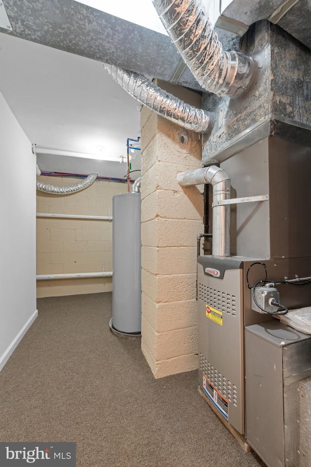 utility room with water heater