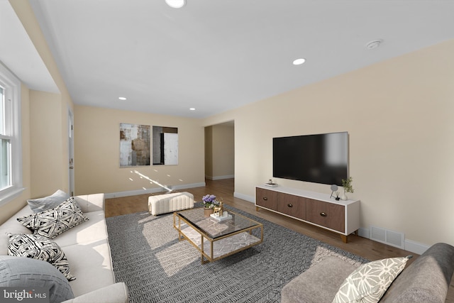 living room featuring hardwood / wood-style floors