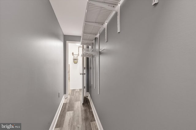 corridor with wood-type flooring