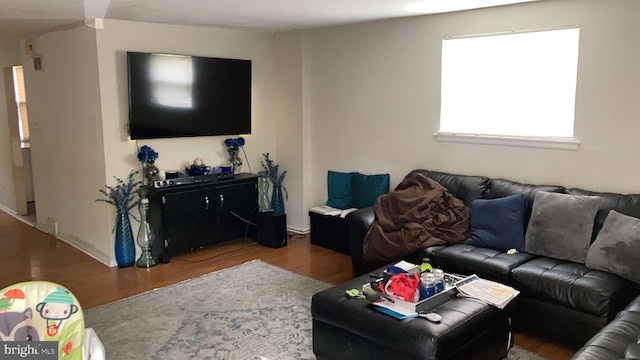 living room featuring hardwood / wood-style flooring