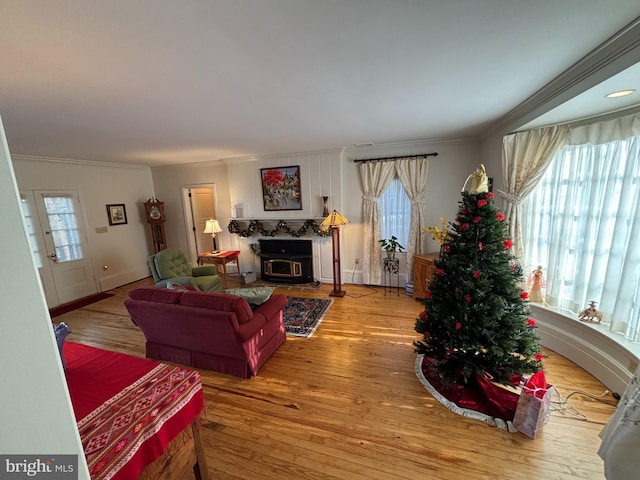 living room featuring ornamental molding, light wood-type flooring, and a wood stove